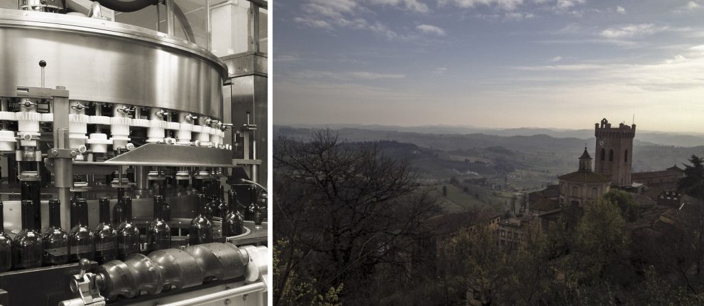 azienda sorelli winery 3